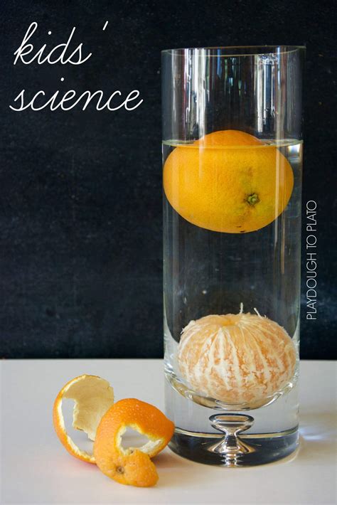 Orange Buoyancy Science Experiment - Playdough To Plato