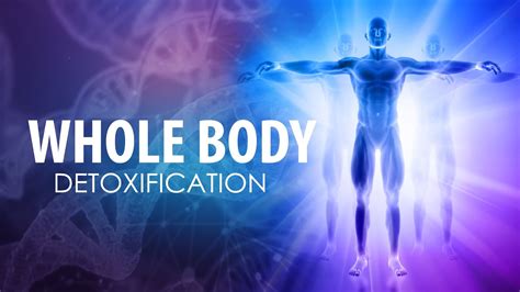 Whole Body Detoxification Extremely Powerful Physical Mental