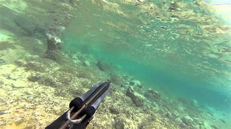 Underwater Hunting With Spear And Gun In Croatia Youtube