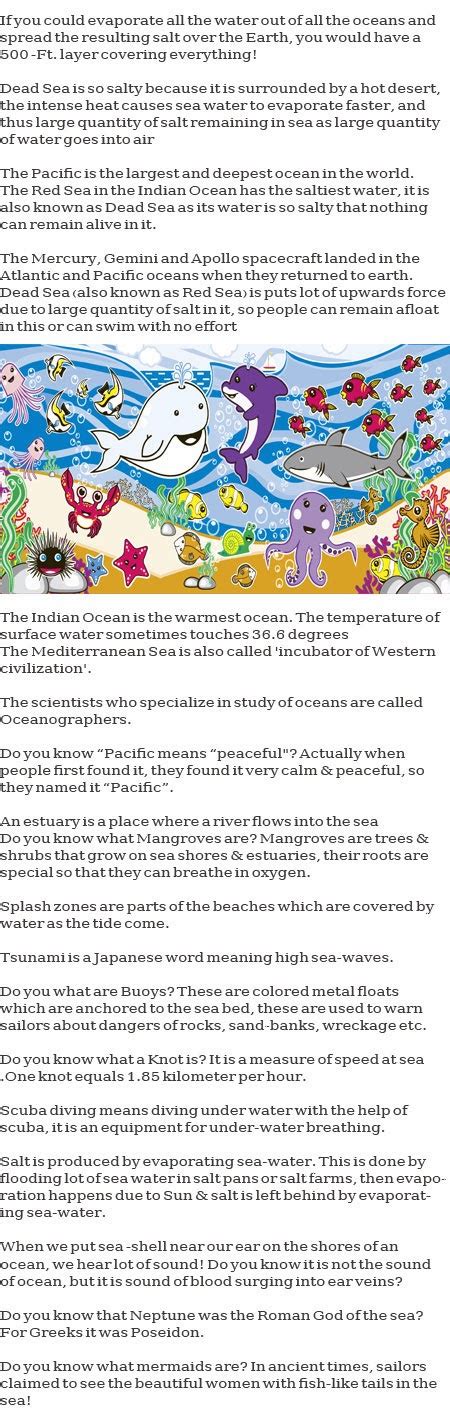 Fun Ocean Facts For Kids Childhood Education
