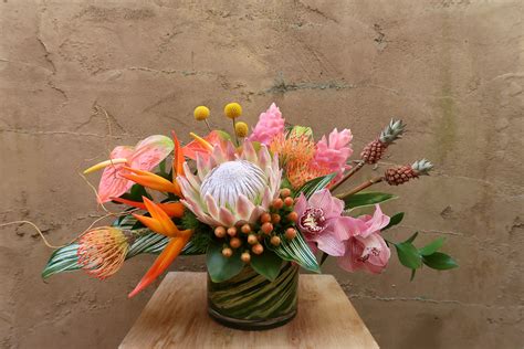 The institute comprises 33 full and 14 associate members, with 16 affiliate members from departments within the university of cape town, and 17 adjunct members based nationally or internationally. Amor Tropical in Miami, FL | Avant Gardens
