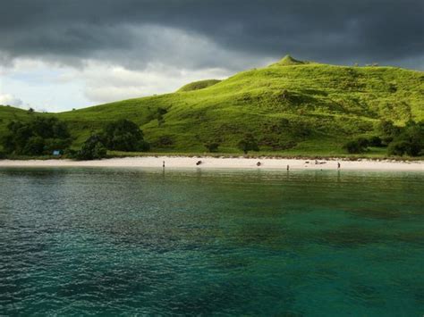 10 Hotel Terbaik Dekat Pulau Rinca Tripadvisor