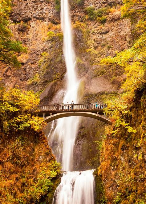 Heres Where To Go Leaf Peeping This Fall Columbia River Gorge