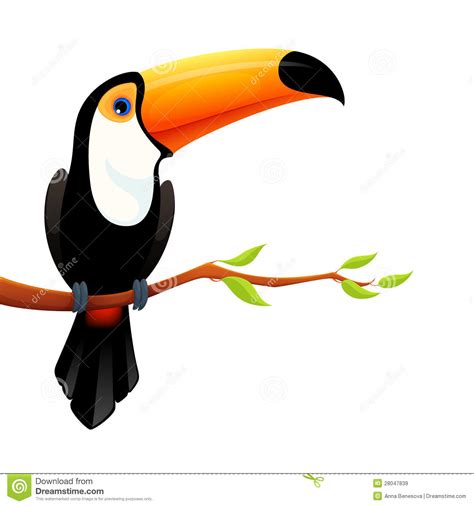 Toucan Clipart 20 Free Cliparts Download Images On Clipground 2022