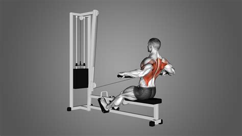 Wide Grip Cable Rows Benefits Muscles Worked And More Inspire Us