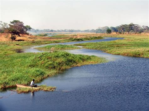 The natural cycle of a wetland is to convert to a land habitat as sediments accumulate. Wetlands: Nature's solution to climate change :: IWMI
