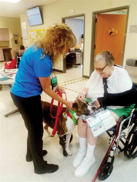 Therapy Dog Brings Smiles To Patients News Sports Jobs News And