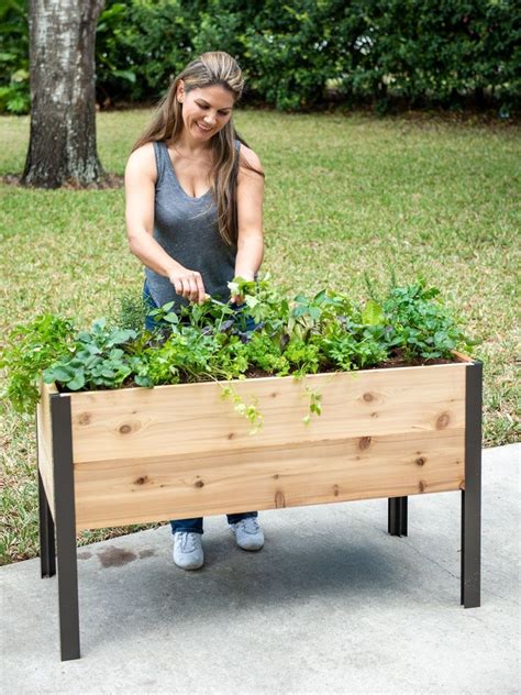 Self Watering Elevated Cedar Planter Box 2 X 8 Thuem Garden Plant