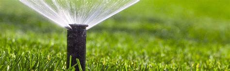 Your Ultimate Guide To Garden Watering Live Enhanced