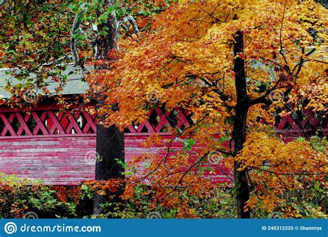 Autumn Fall Colorful Foliage At The Henry Covered Bridge Stock Image