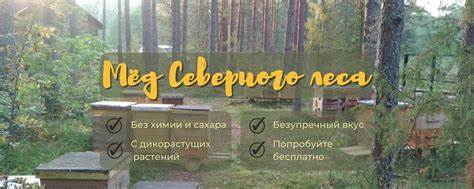 Сообщество «Мёд Северного Леса | Санкт-Петербург» ВКонтакте — диеты Картинка - Сообщество «Мёд Северного Леса | Санкт-Петербург» ВКонтакте — диеты