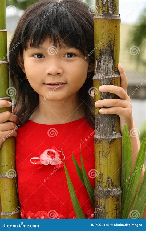 Menina Chinesa Asiática Imagem De Stock Imagem De Ensolarado 7002145