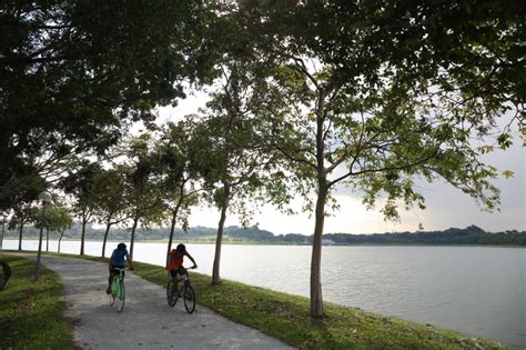 பெடோக் நீர்த்தேக்கம் (ta) stuwmeer in. Bedok Reservoir Park - Parks & Nature Reserves - Gardens ...