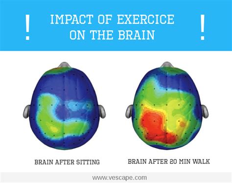 What Are The Effects Of Exercise On The Brain
