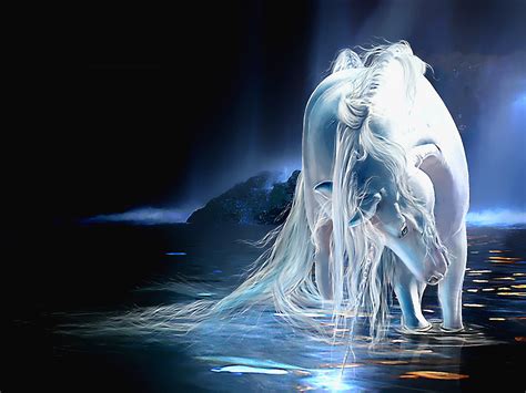 White Horse Unicorn Hd Wallpaper For Your Mobile Phone And