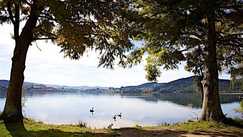 Selecting the correct version will make the smith lake water level app work better, faster, use less battery power. Toxic algal bloom hits Hawke's Bay lake | Stuff.co.nz