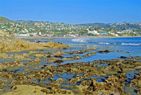 Extreme Low Tide At Bird Rock Off Of Heisler Park Laguna Beach