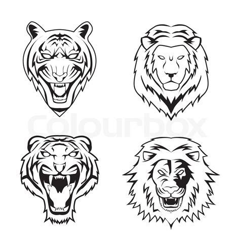 Lion Tiger Stock Vector Colourbox