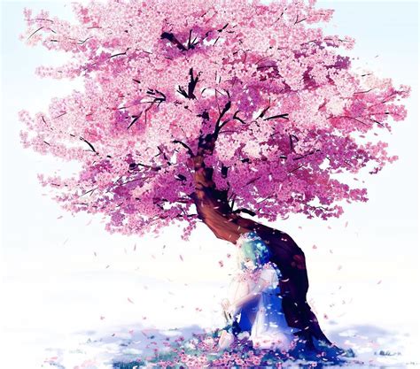 Lluluchwan Su Instagram Under The Cherry Blossom Tree I Havent