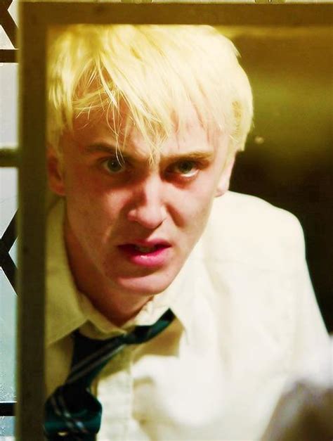 Draco Draco Malfoy Photo 32364009 Fanpop