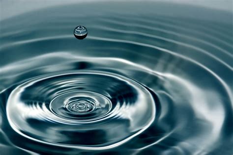 Will ripple reach $10 by 2030? Be Kind—It May Have a Ripple Effect