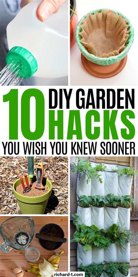 10 genius garden hacks you need to try today garden hacks diy