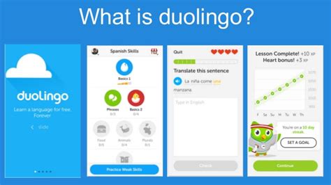 Open the file and follow your computer's installation instructions. Download Duolingo For Windows 10 - Learn European Languages