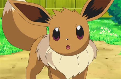 For the deck archetype, see eeveelutions. How to evolve Eevee in Pokémon Quest | AllGamers