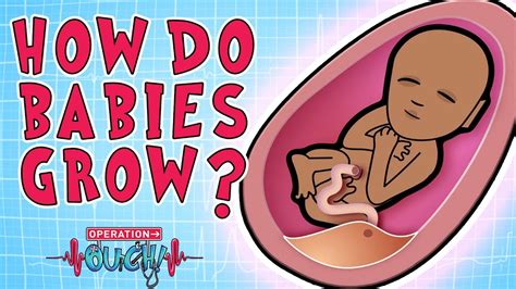 Operation Ouch How Babies Grow Body Facts In 2020 Baby Grows