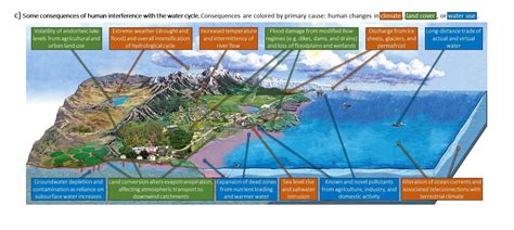 Constructing an aquifer model explores the link between precipitation, surface and ground water. Current water cycle diagrams are dangerously outdated ...