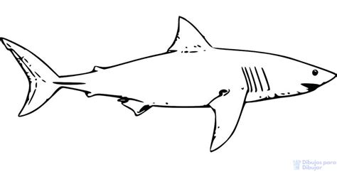🦈 para dibujar tiburón paso a paso de forma fácil y sencilla sigue las instrucciones de mi video. 磊【+2250】Fáciles dibujos de Tiburones para dibujar ⚡️