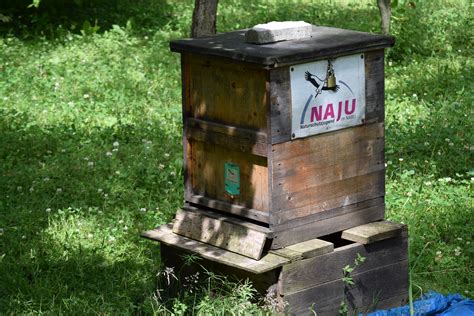 Maybe you would like to learn more about one of these? Botanischer Garten - Chemnitz | lebenswertes Chemnitz