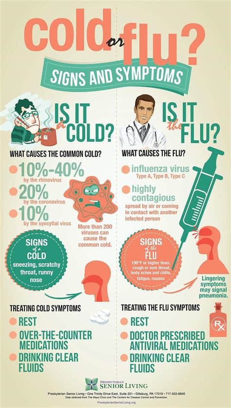 Cold Or Flu Infographic What You Should Know If You Are 65 And Older