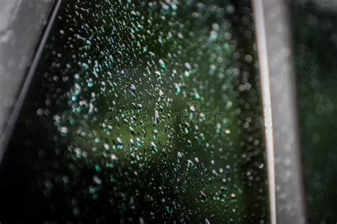 Rain Drops Water Drops On Hood Of Automobile Car Detailing Stock