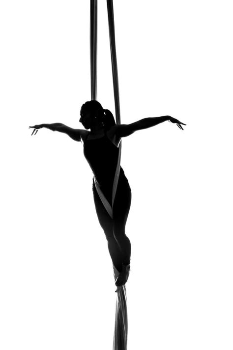 Silhouette photo shoot!! | Aerial silks, Aerial acrobatics, Aerial dance