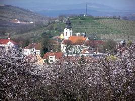 Chaty a chalupy k pronajmutí, apartmány, penziony a další levné vinný sklep u františka se nachází v klidné, vinařské obci dolní bojanovice. Noc kostelů - Horní Bojanovice, kostel sv. Vavřince