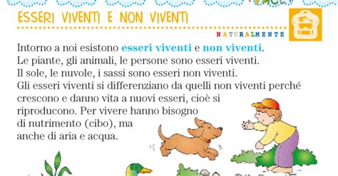 Schema riassuntivo utilizzato a conclusione dell'attività di classificazione degli elementi in esseri viventi o non viventi. VIVACEMENTE con il cuore e con la mente: Esseri viventi e non viventi - Regno animale, vegetale ...