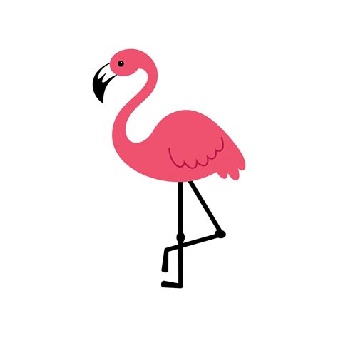 Flamingo Single Clipart Gráfico Flamingo Imágenes Digitales Etsy México