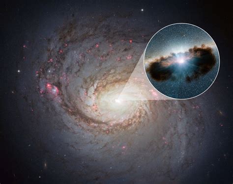 Coronae Of Supermassive Black Holes May Be The Hidden Sources Of