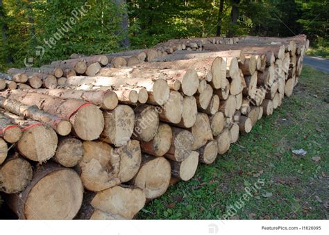 Lumber Wood Piles Stock Image I1626095 At Featurepics