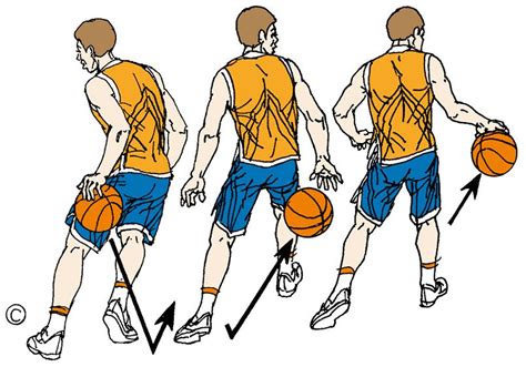 Bola Basket Jenis Jenis Dribble Dalam Basket