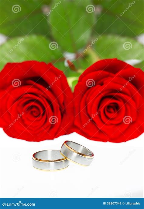 Wedding Rings And Red Roses Stock Photo Image Of Celebration Jewelry