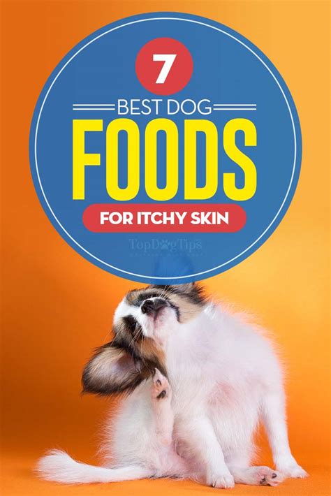 A common issue for dogs is to develop dry and itchy skin or hot spots. Top 7 Best Dog Food for Itchy Skin Brands in 2018 (with ...