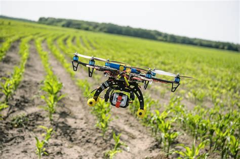 Fungsi Drone Untuk Pertanian Kamu Wajib Tahu Agrozine