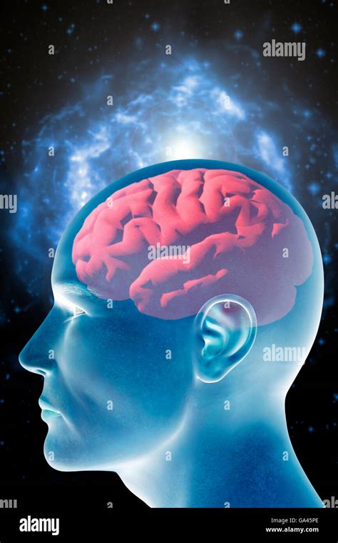 Psychology And Mind Concept Stock Photo Alamy