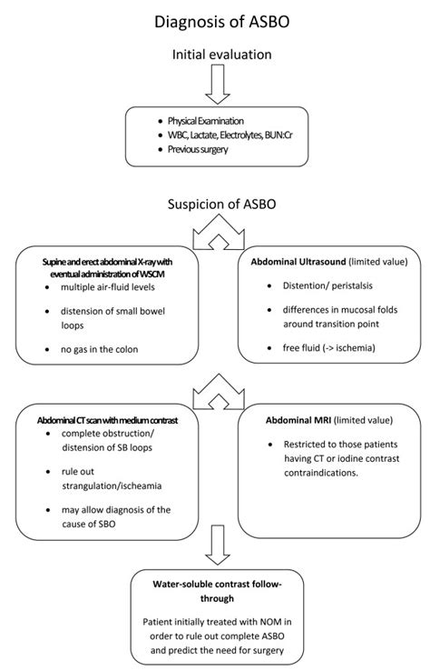 Evidence Based Algorithm For Diagnosis And Assessment Of Asbo