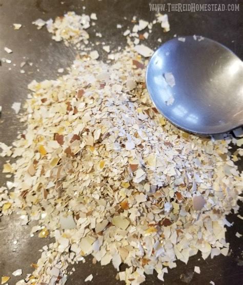 All you have to do is break them into little pieces and spread them over the soil around your plants. How to Use Eggshells in the Garden (to benefit your plants ...