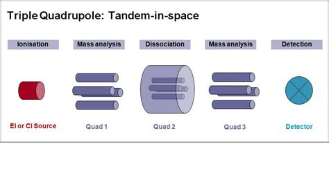 Mass Spectrometry — Ecology