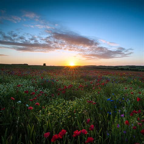 Check spelling or type a new query. خلفيات آيباد 2013 جميلة - Amazing iPad wallpapers 2013