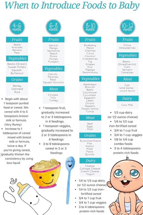 At 4 to 6 months old, children naturally become more aware and interested in their environment. Pin by Lindsay Hamilton on Kid Organization | Baby food ...